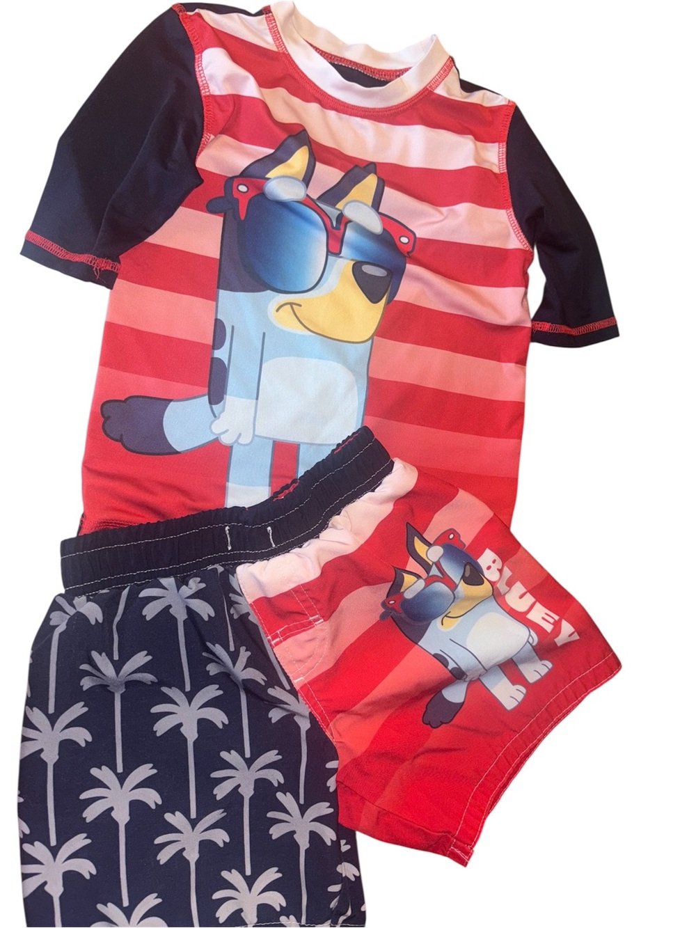 4th of July bluey swim set